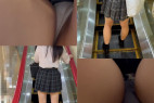 エスカ鳥vol.16 清楚激カワKとロ○グレチェKの生P2種
