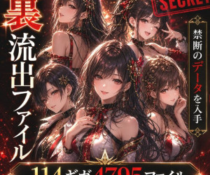 裏・流出ファイル 禁断のデータ 114ギガ4795ファイル 期間限定